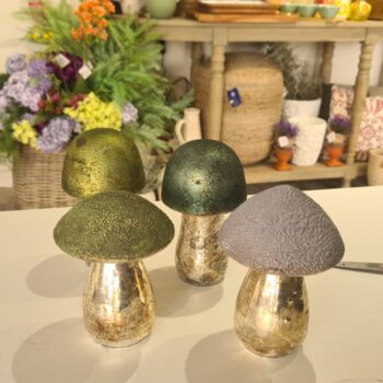 Champignon decoratives